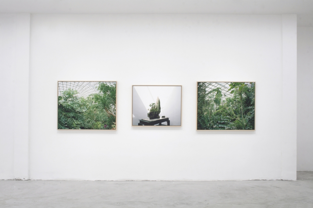 OPERATIVA ARTE CONTEMPORANEA :: Artist :: ALESSANDRO DANDINI de SYLVA