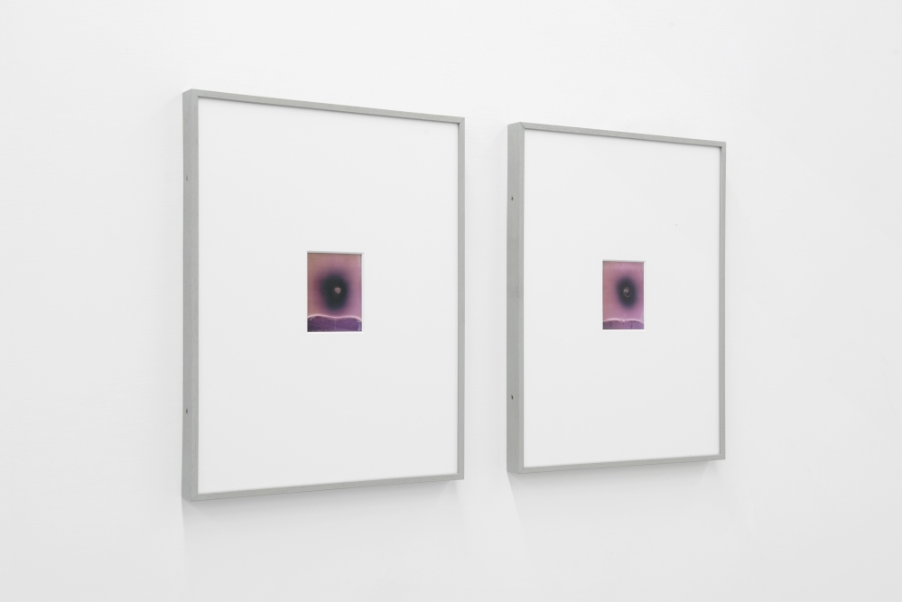OPERATIVA ARTE CONTEMPORANEA :: Artist :: ALESSANDRO DANDINI de SYLVA