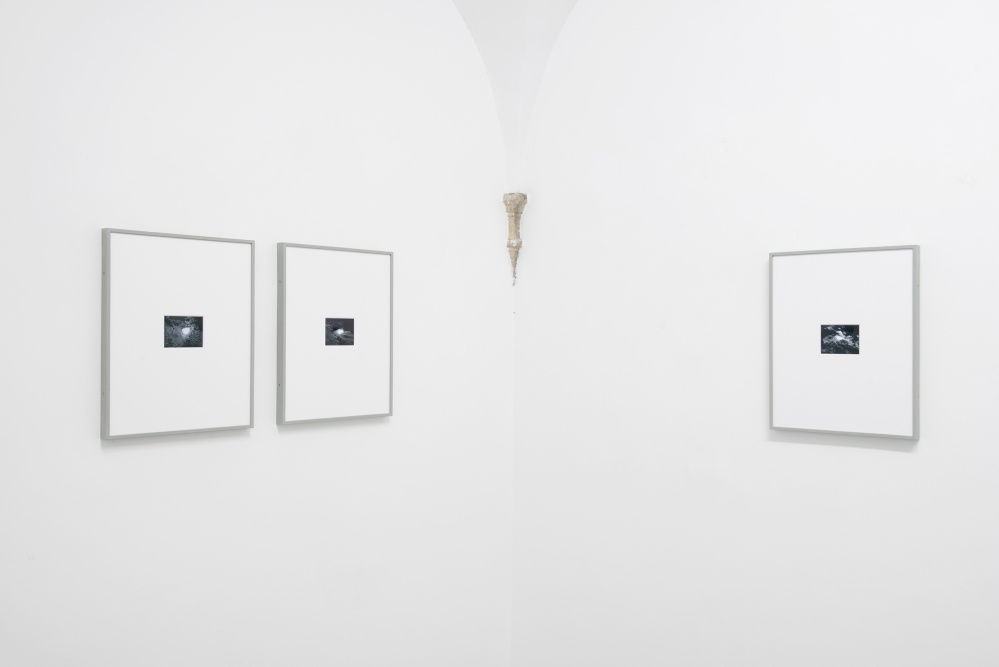 OPERATIVA ARTE CONTEMPORANEA :: Artist :: ALESSANDRO DANDINI de SYLVA