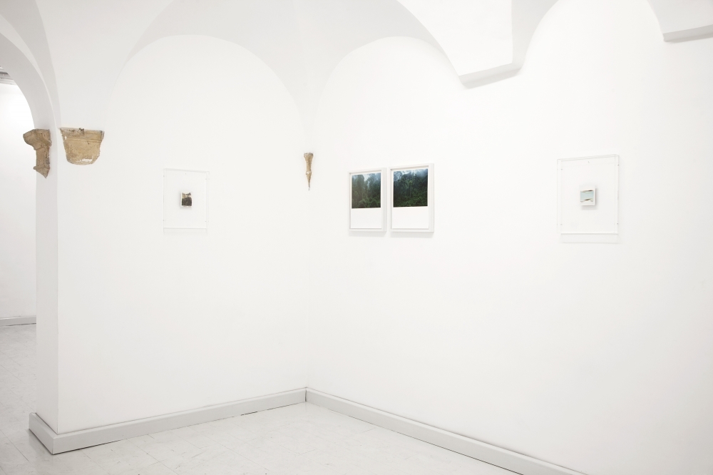 OPERATIVA ARTE CONTEMPORANEA :: Artist :: ALESSANDRO DANDINI de SYLVA